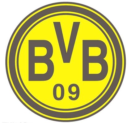 为球队赢得 为球队赢得