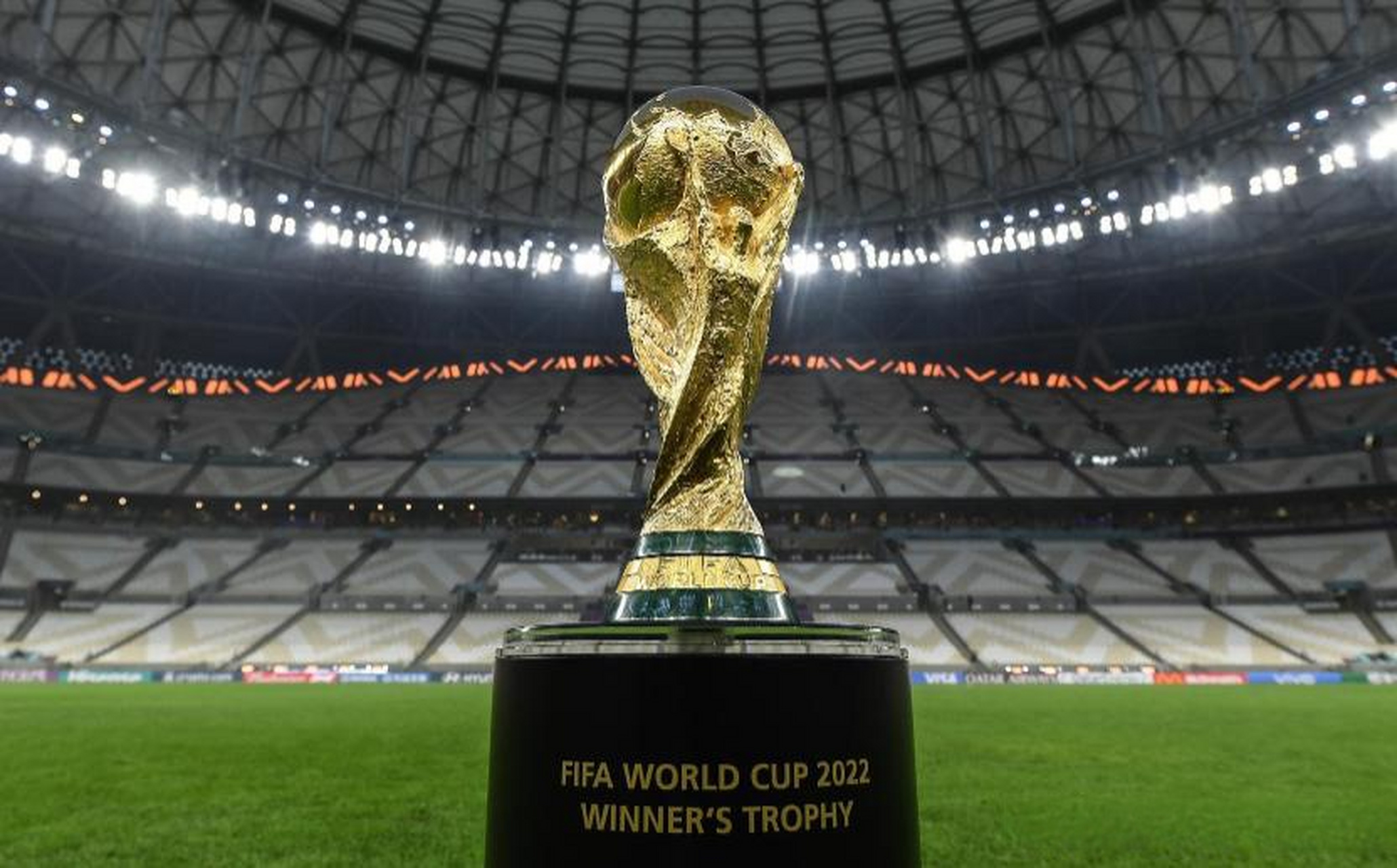 这次观赛体 这次观赛体