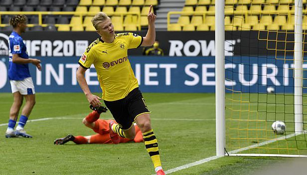 解析为何新 解析为何新